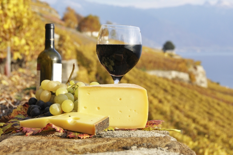 Discover the Perfect Pairings: French Wine and Cheese Tasting Guide